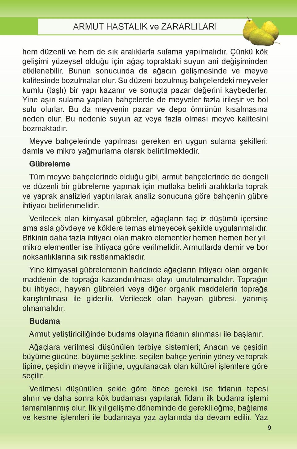 Yine aşırı sulama yapılan bahçelerde de meyveler fazla irileşir ve bol sulu olurlar. Bu da meyvenin pazar ve depo ömrünün kısalmasına neden olur.