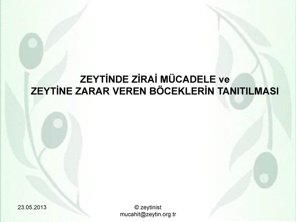 ZEYTİNE ZARAR