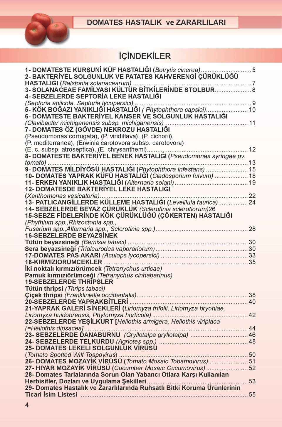 .. 9 5- KÖK BOĞAZI YANIKLIĞI HASTALIĞI ( Phytophthora capsici)... 10 6- DOMATESTE BAKTERİYEL KANSER VE SOLGUNLUK HASTALIĞI (Clavibacter michiganensis subsp. michiganensis).