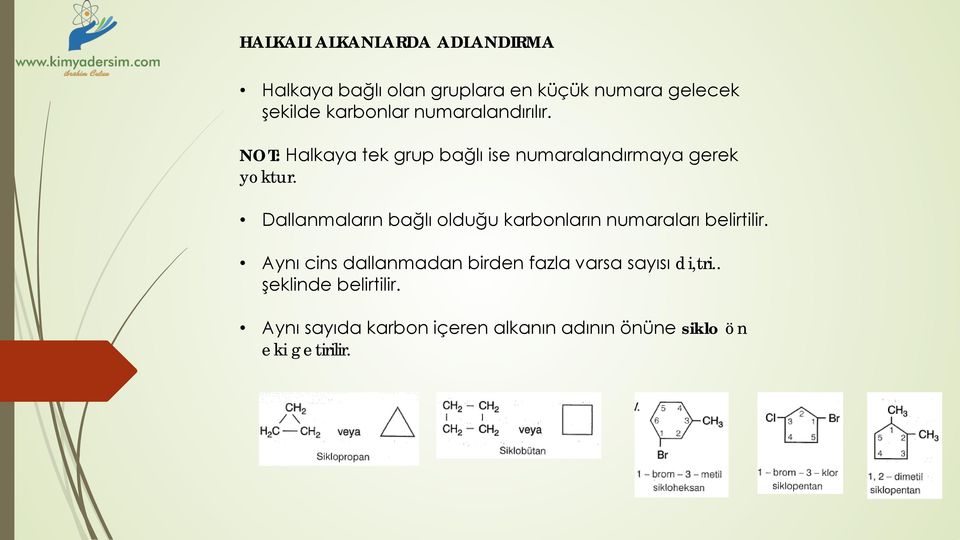 Dallanmaların bağlı olduğu karbonların numaraları belirtilir.