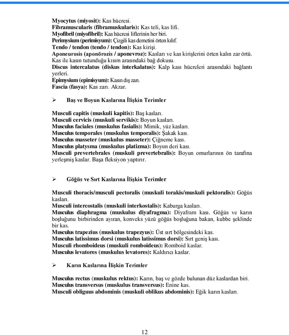 Kas ile kasın tutunduğu kısım arasındaki bağ dokusu. Discus intercalatus (diskus interkalatus): Kalp kası hücreleri arasındaki bağlantı yerleri. Epimysium (epimisyum): Kasın dıģ zarı.