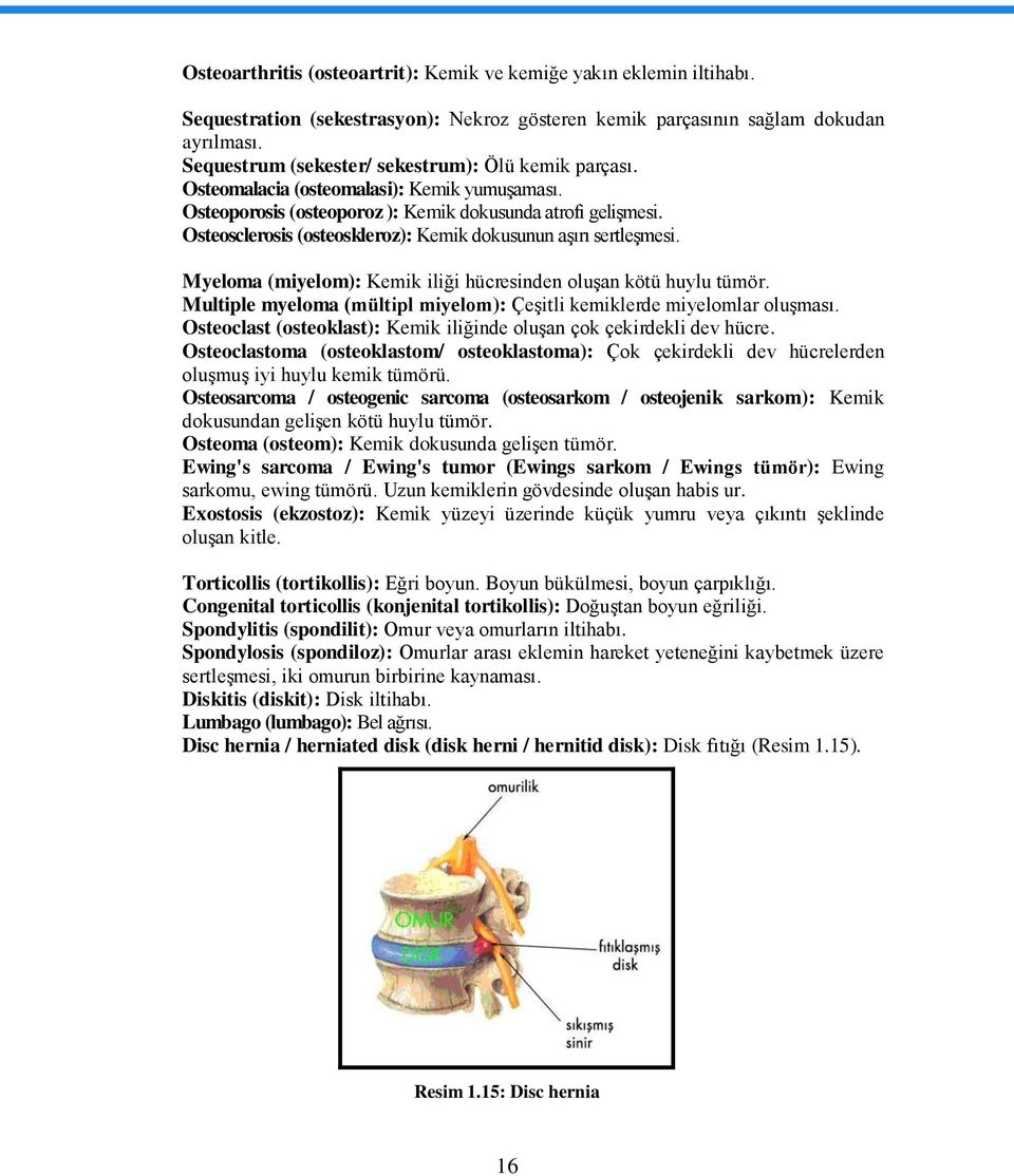 Osteosclerosis (osteoskleroz): Kemik dokusunun aģırı sertleģmesi. Myeloma (miyelom): Kemik iliği hücresinden oluģan kötü huylu tümör.