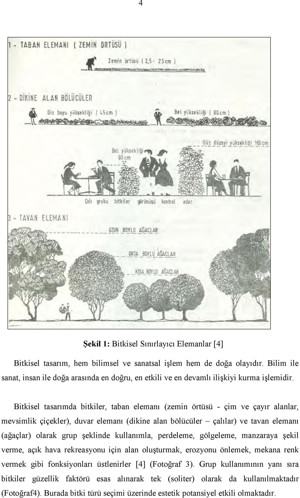 Bitkisel tasarımda bitkiler, taban elemanı (zemin örtüsü - çim ve çayır alanlar, mevsimlik çiçekler), duvar elemanı (dikine alan bölücüler çalılar) ve tavan elemanı (ağaçlar) olarak grup şeklinde