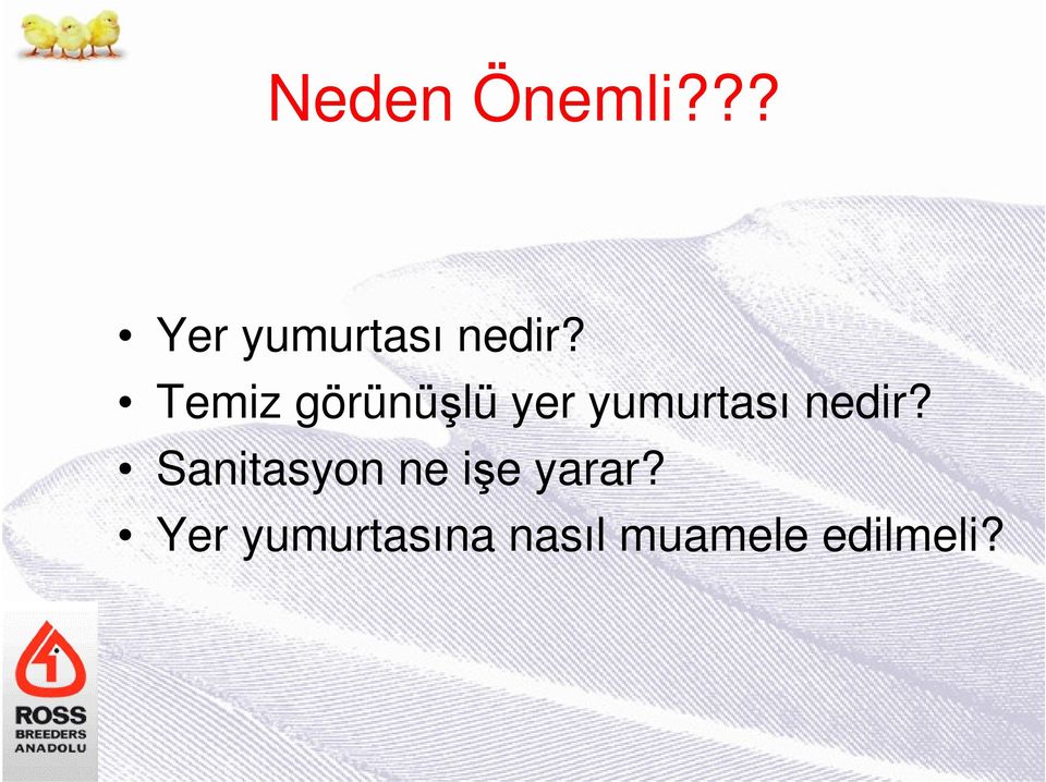 nedir? Sanitasyon ne işe yarar?