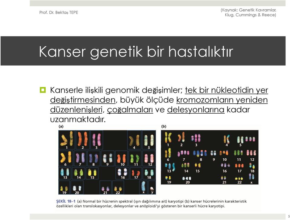 değiştirmesinden, büyük ölçüde kromozomların yeniden