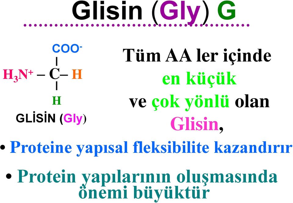 Glisin, Proteine yapısal fleksibilite