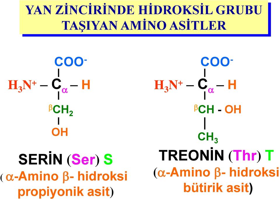 a-amino - hidroksi propiyonik asit) H 3 N + C a H