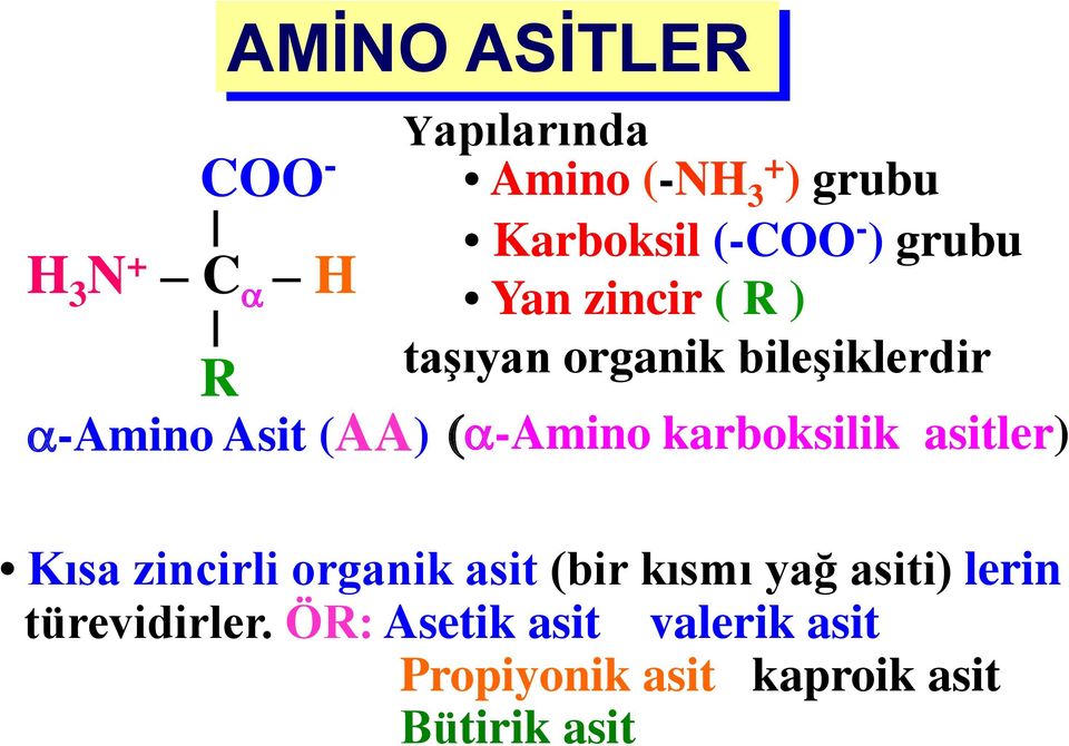 (a-amino karboksilik asitler) Kısa zincirli organik asit (bir kısmı yağ asiti)