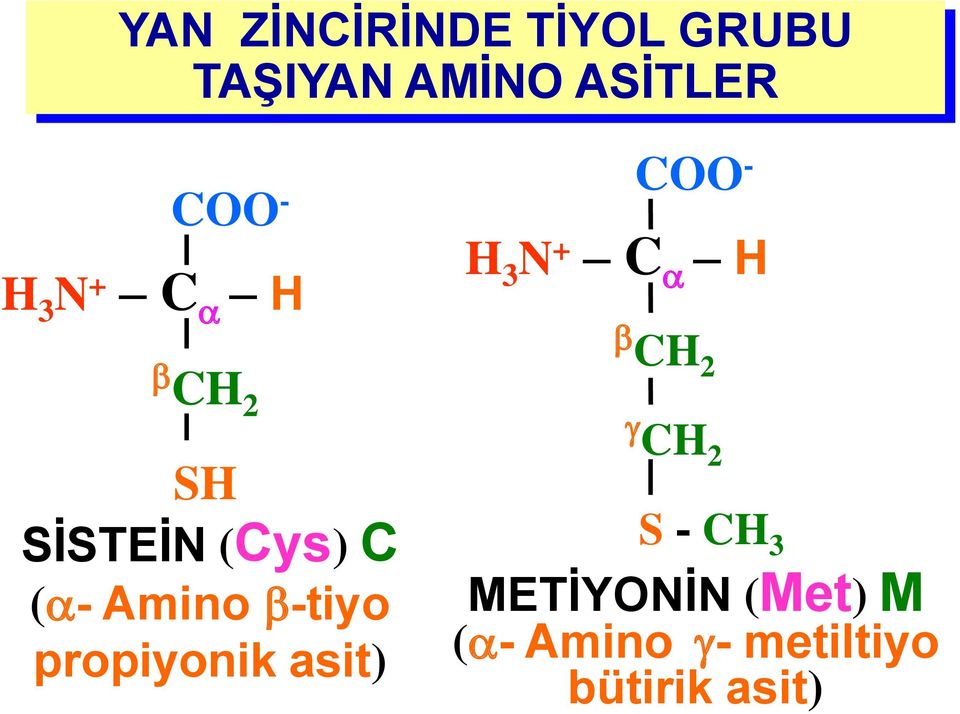 (Cys) C (a- Amino -tiyo propiyonik asit) CH 2 S -