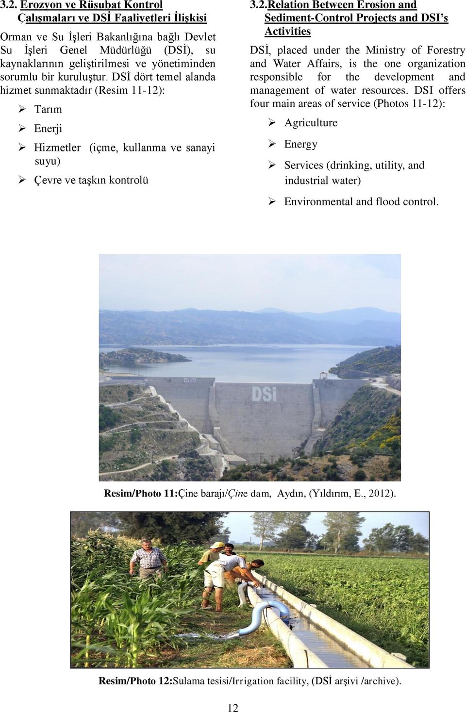 : Tarım Enerji Hizmetler (içme, kullanma ve sanayi suyu) Çevre ve taşkın kontrolü 3.2.