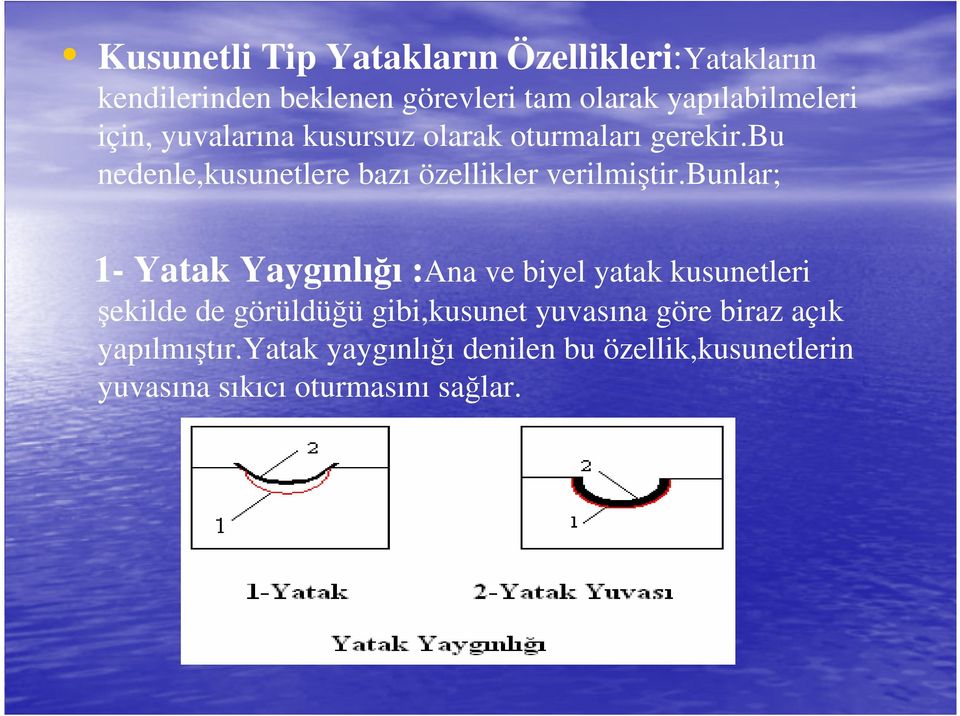 bu nedenle,kusunetlere bazı özellikler verilmiştir.