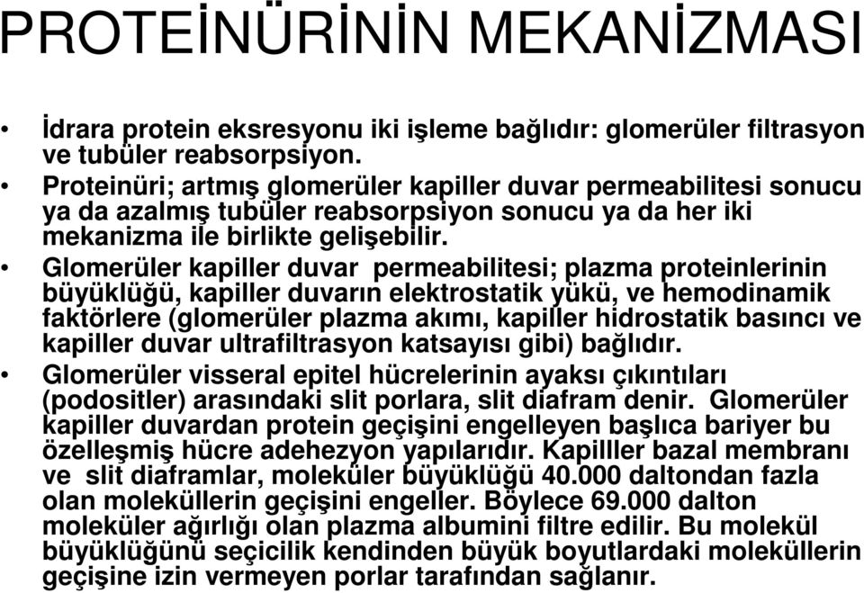 Glomerüler kapiller duvar permeabilitesi; plazma proteinlerinin büyüklüğü, kapiller duvarın elektrostatik yükü, ve hemodinamik faktörlere (glomerüler plazma akımı, kapiller hidrostatik basıncı ve