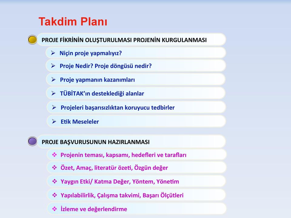 Meseleler PROJE BAŞVURUSUNUN HAZIRLANMASI v Projenin teması, kapsamı, hedefleri ve tarafları v Özet, Amaç, literatür özex,