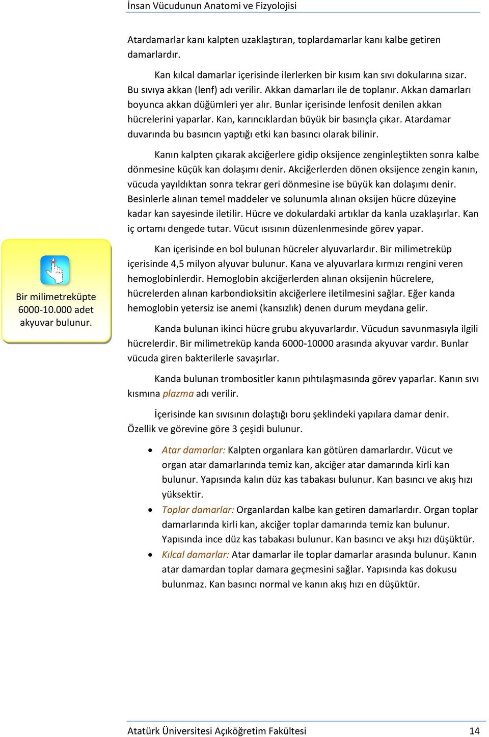 Kan, karıncıklardan büyük bir basınçla çıkar. Atardamar duvarında bu basıncın yaptığı etki kan basıncı olarak bilinir.