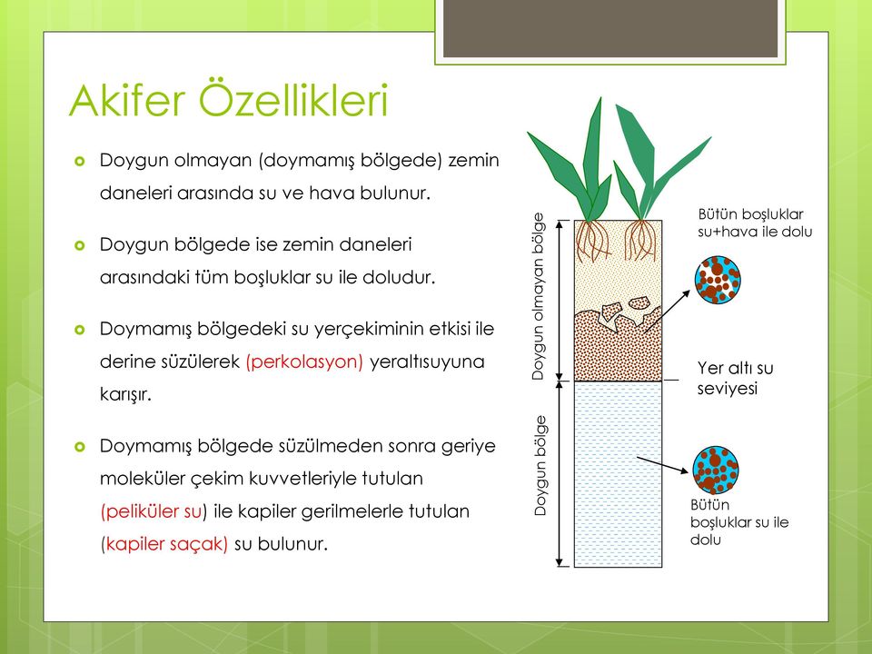 Bütün boşluklar su+hava ile dolu Doymamış bölgedeki su yerçekiminin etkisi ile derine süzülerek (perkolasyon) yeraltısuyuna karışır.