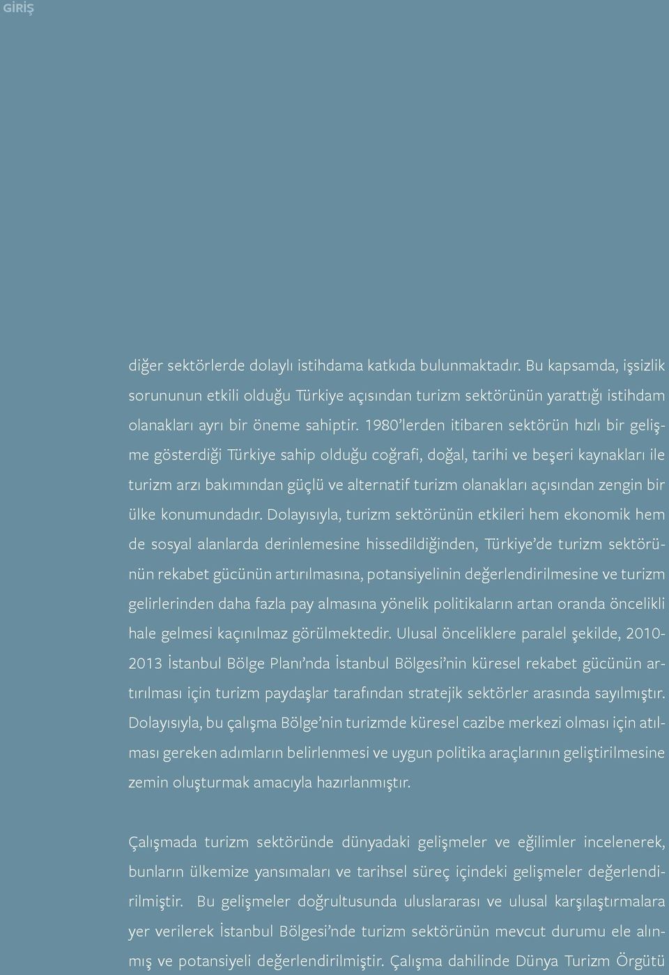 1980 lerden itibaren sektörün hızlı bir gelişme gösterdiği Türkiye sahip olduğu coğrafi, doğal, tarihi ve beşeri kaynakları ile turizm arzı bakımından güçlü ve alternatif turizm olanakları açısından