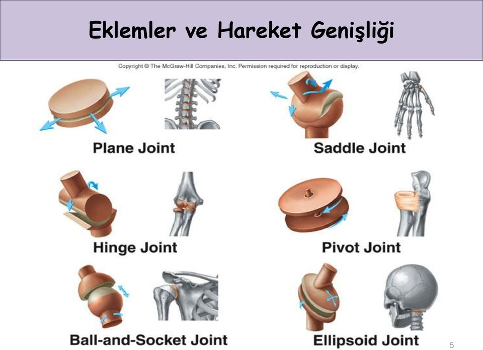 Hareket