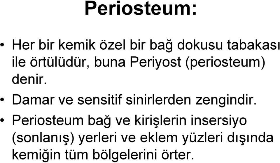 Damar ve sensitif sinirlerden zengindir.