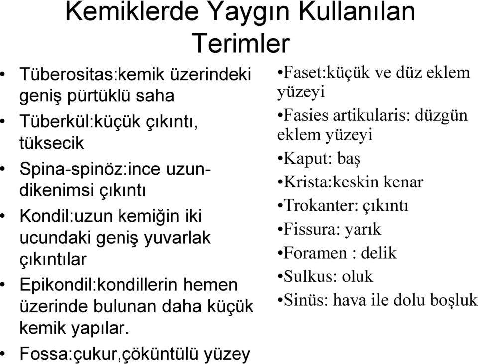 üzerinde bulunan daha küçük kemik yapılar.