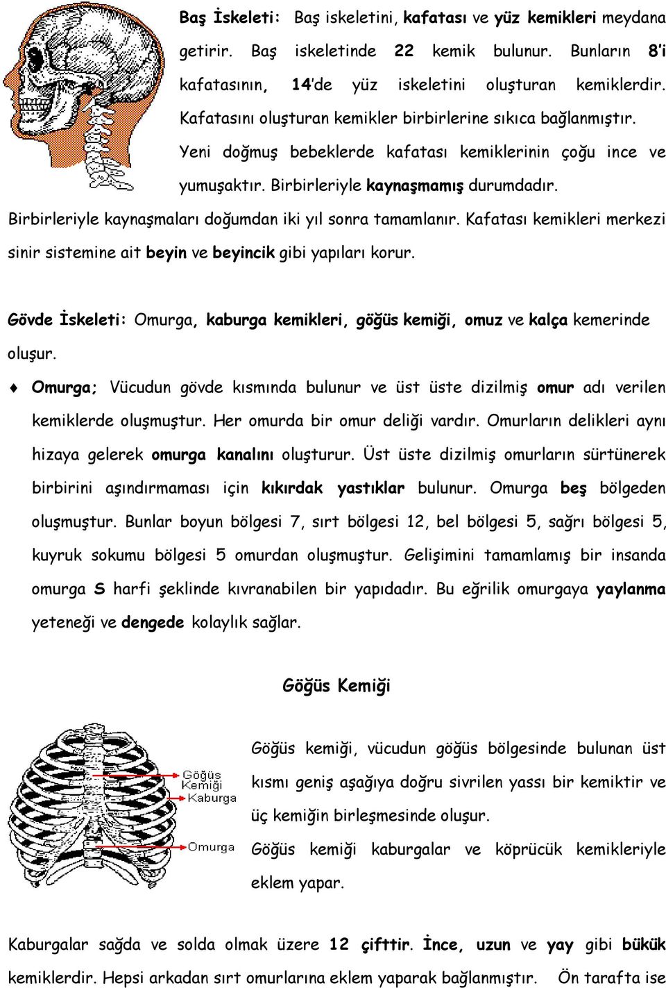 Birbirleriyle kaynaşmaları doğumdan iki yıl sonra tamamlanır. Kafatası kemikleri merkezi sinir sistemine ait beyin ve beyincik gibi yapıları korur.