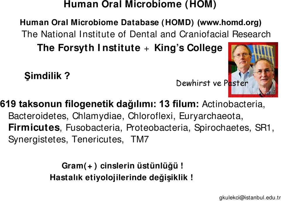 Dewhirst ve Paster 619 taksonun filogenetik dağılımı: 13 filum: Actinobacteria, Bacteroidetes, Chlamydiae, Chloroflexi,