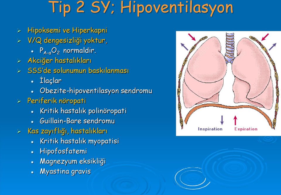 Akciğer hastalıkları SSS de solunumun baskılanması İlaçlar Obezite-hipoventilasyon