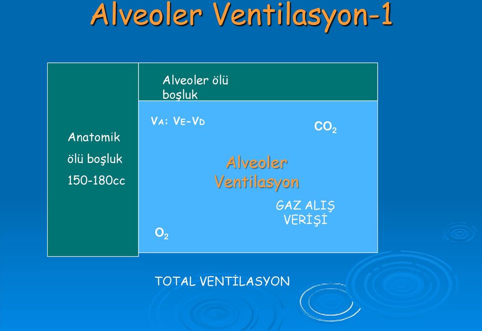 VA: VE-VD O 2 Alveoler Ventilasyon