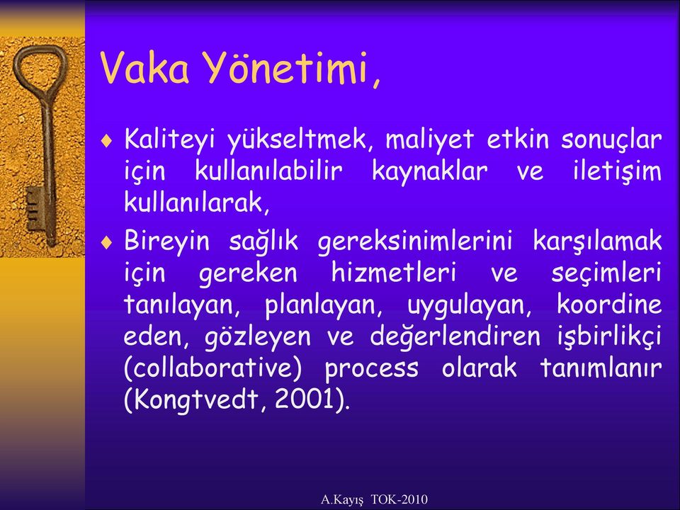 gereken hizmetleri ve seçimleri tanılayan, planlayan, uygulayan, koordine eden,