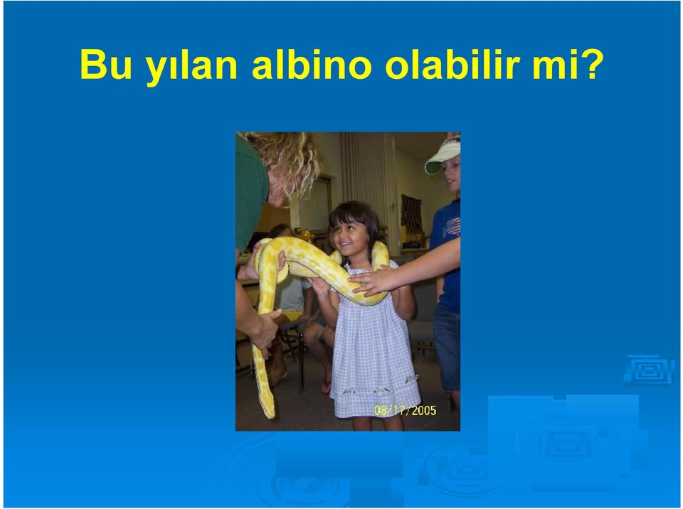 olabilir