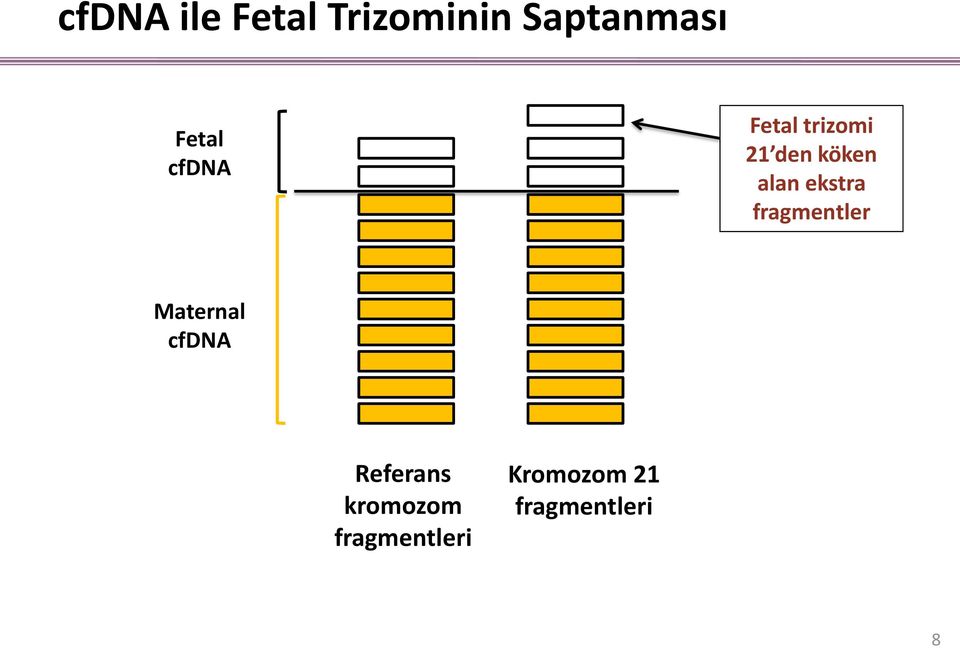 ekstra fragmentler Maternal cfdna Referans