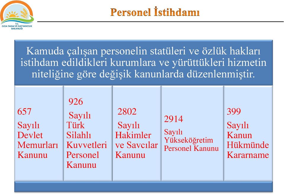 657 Sayılı Devlet Memurları Kanunu 926 Sayılı Türk Silahlı Kuvvetleri Personel Kanunu 2802