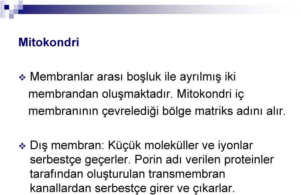 Dış membran: Küçük moleküller ve iyonlar serbestçe geçerler.