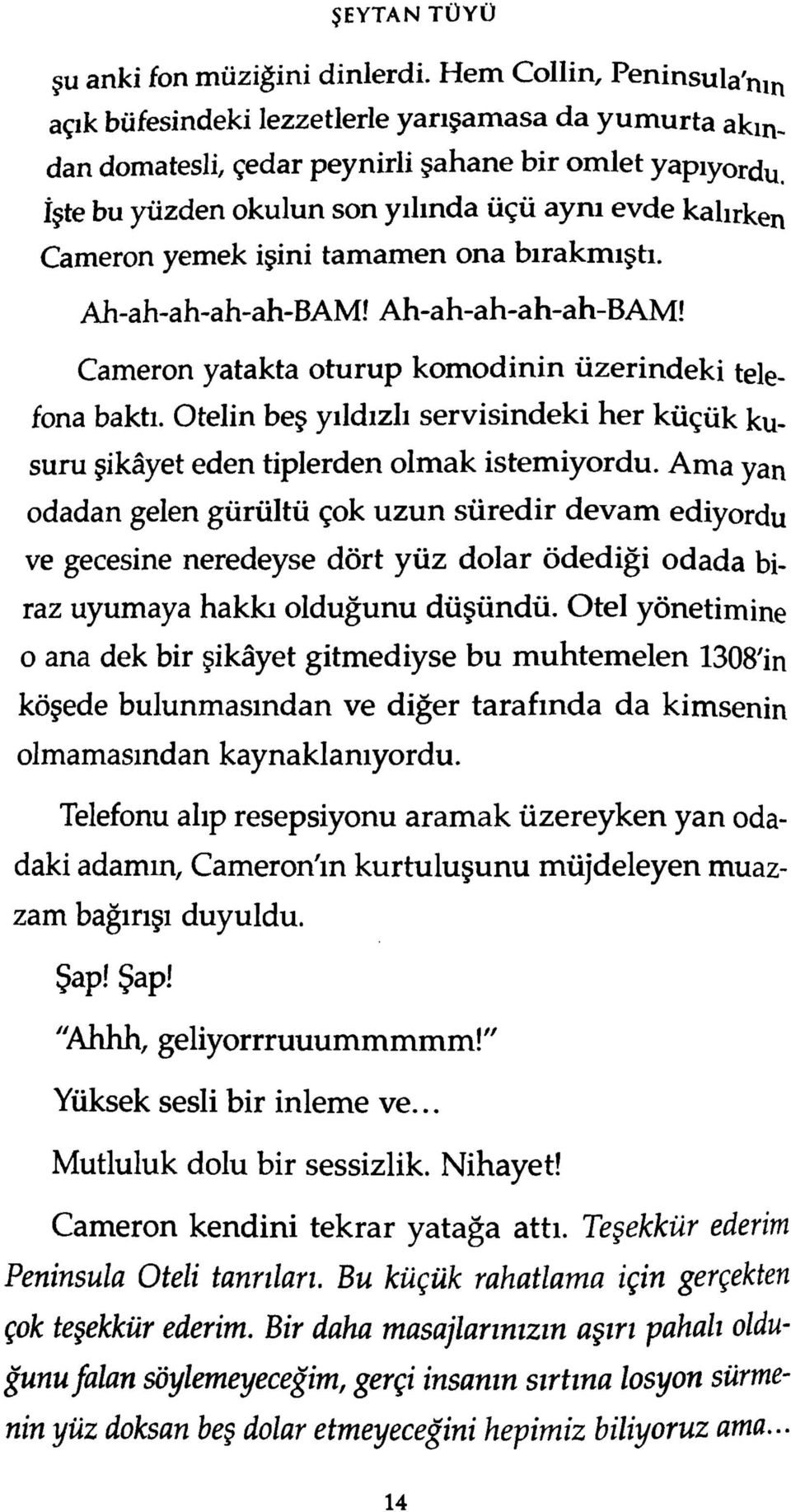 Otelin beş yıldızlı servisindeki her küçük kusuru şikâyet eden tiplerden olmak istemiyordu.