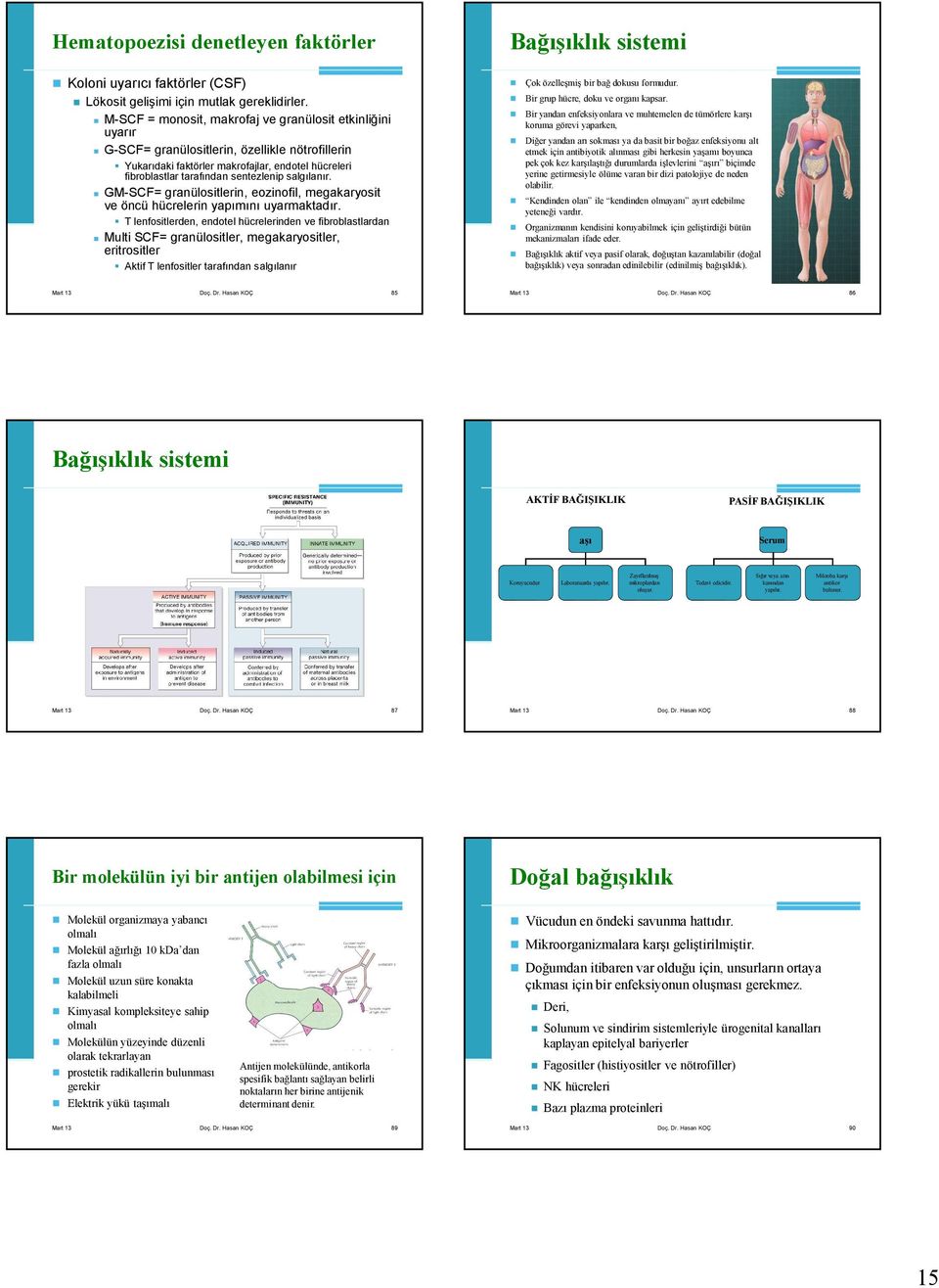 salgılanır. GM-SCF= granülositlerin, eozinofil, megakaryosit ve öncü hücrelerin yapımını uyarmaktadır.