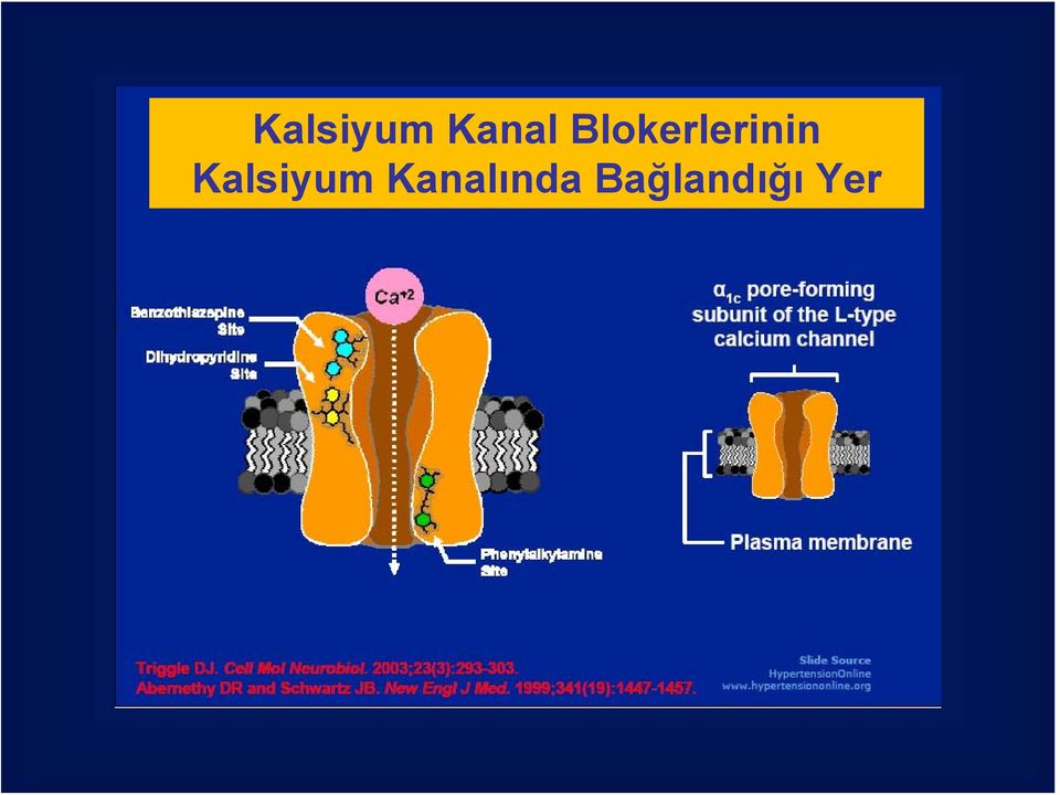 ında Bağlandığı