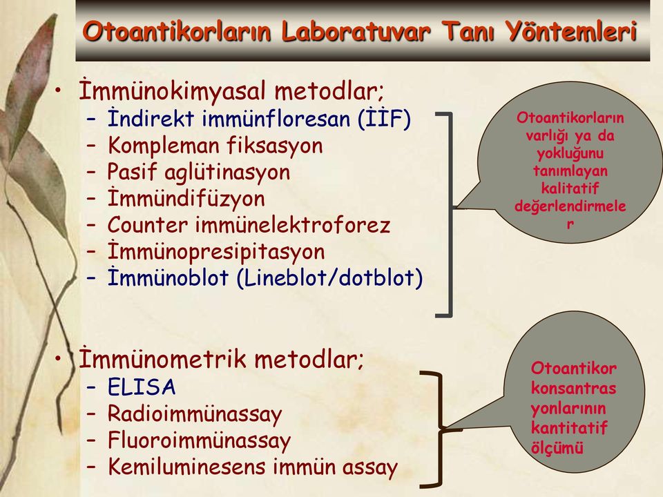 (Lineblot/dotblot) Otoantikorların varlığı ya da yokluğunu tanımlayan kalitatif değerlendirmele r İmmünometrik