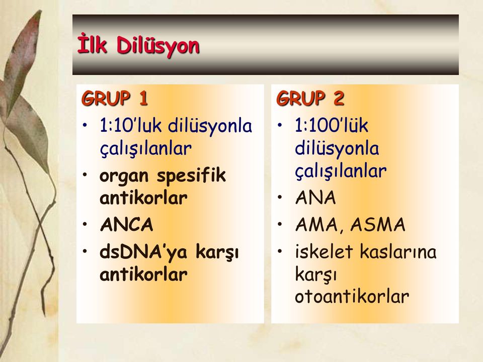 ya karģı antikorlar GRUP 2 1:100 lük dilüsyonla