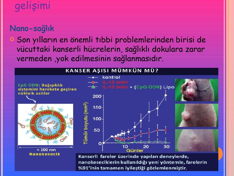 vücuttaki kanserli hücrelerin, sağlıklı