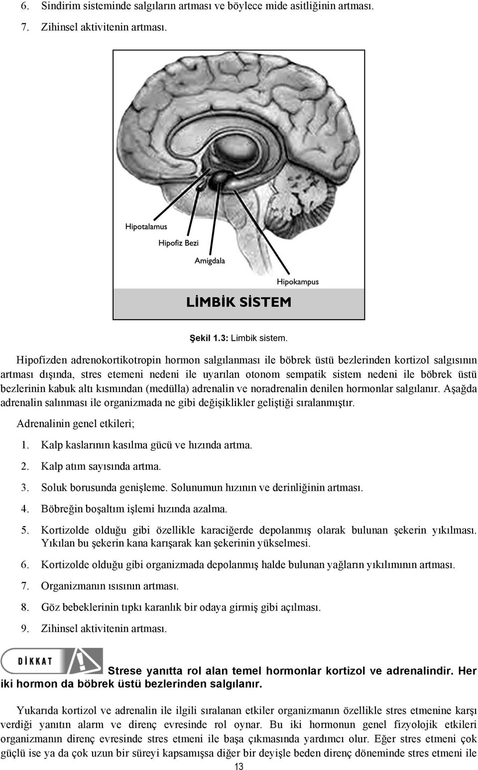 bezlerinin kabuk altı kısmından (medülla) adrenalin ve noradrenalin denilen hormonlar salgılanır. Aşağda adrenalin salınması ile organizmada ne gibi değişiklikler geliştiği sıralanmıştır.