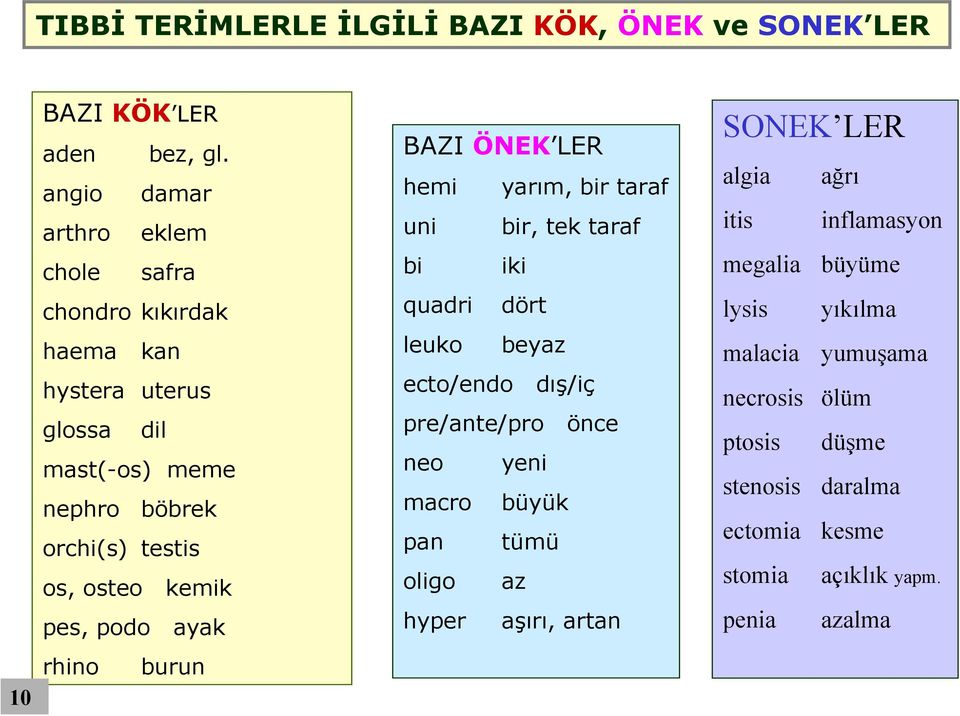 pes, podo ayak rhino burun BAZI ÖNEK LER hemi yarım, bir taraf uni bir, tek taraf bi iki quadri dört leuko beyaz ecto/endo dış/iç pre/ante/pro önce neo