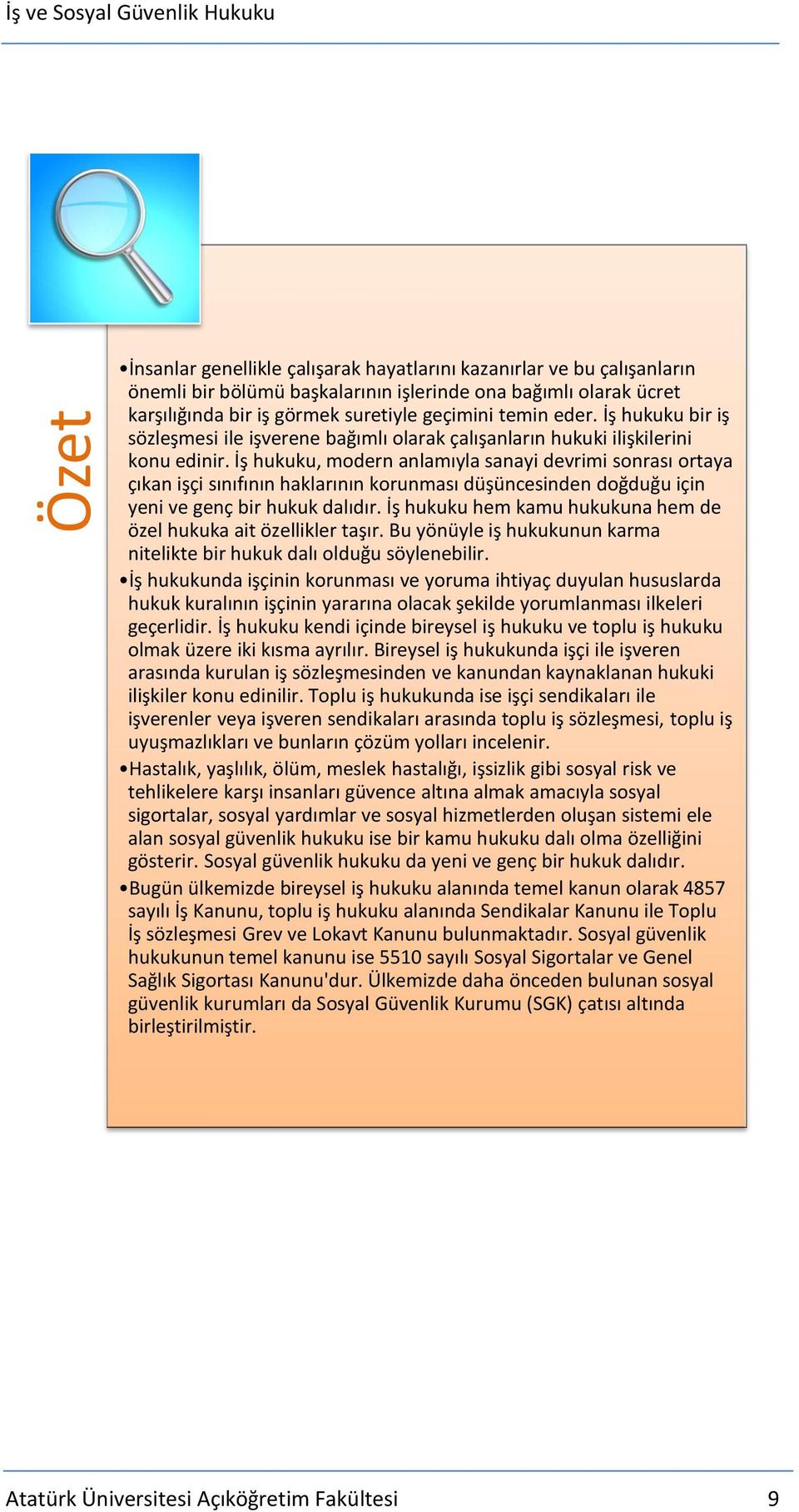 İş hukuku, modern anlamıyla sanayi devrimi sonrası ortaya çıkan işçi sınıfının haklarının korunması düşüncesinden doğduğu için yeni ve genç bir hukuk dalıdır.