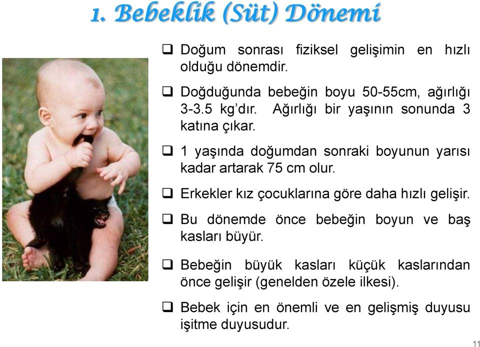 1 yaşında doğumdan sonraki boyunun yarısı kadar artarak 75 cm olur. Erkekler kız çocuklarına göre daha hızlı gelişir.