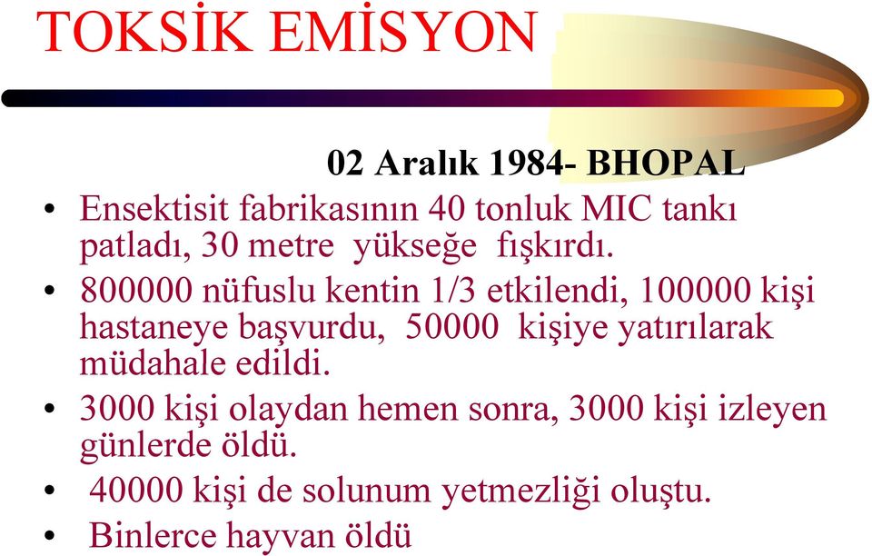 800000 nüfuslu kentin 1/3 etkilendi, 100000 kişi hastaneye başvurdu, 50000 kişiye