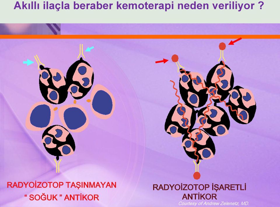 RADYOİZOTOP TAŞINMAYAN SOĞUK ANTİKOR