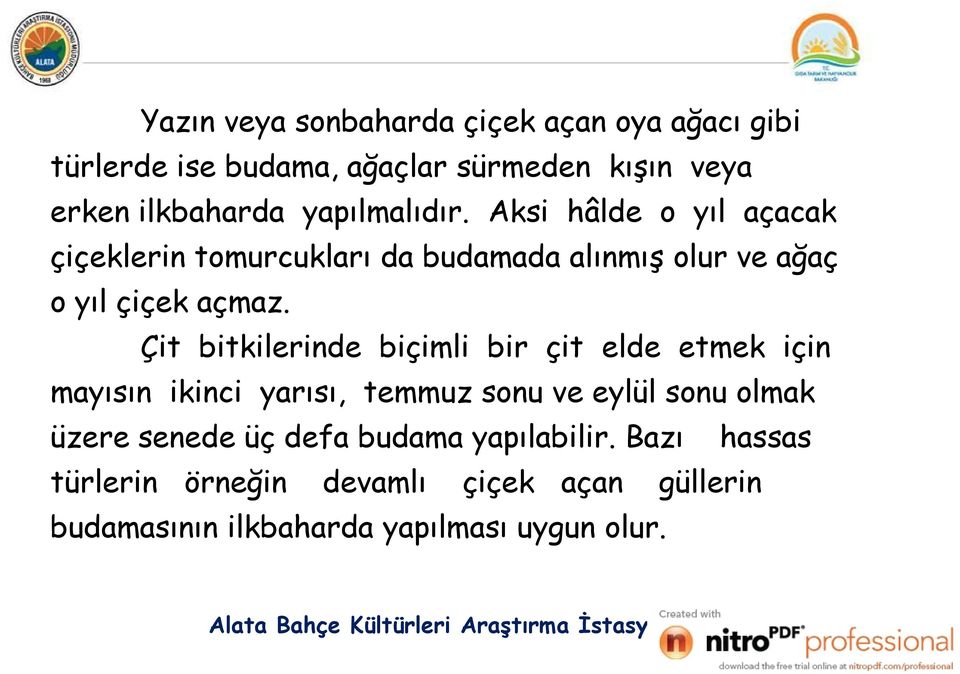 Çit bitkilerinde biçimli bir çit elde etmek için mayısın ikinci yarısı, temmuz sonu ve eylül sonu olmak üzere senede