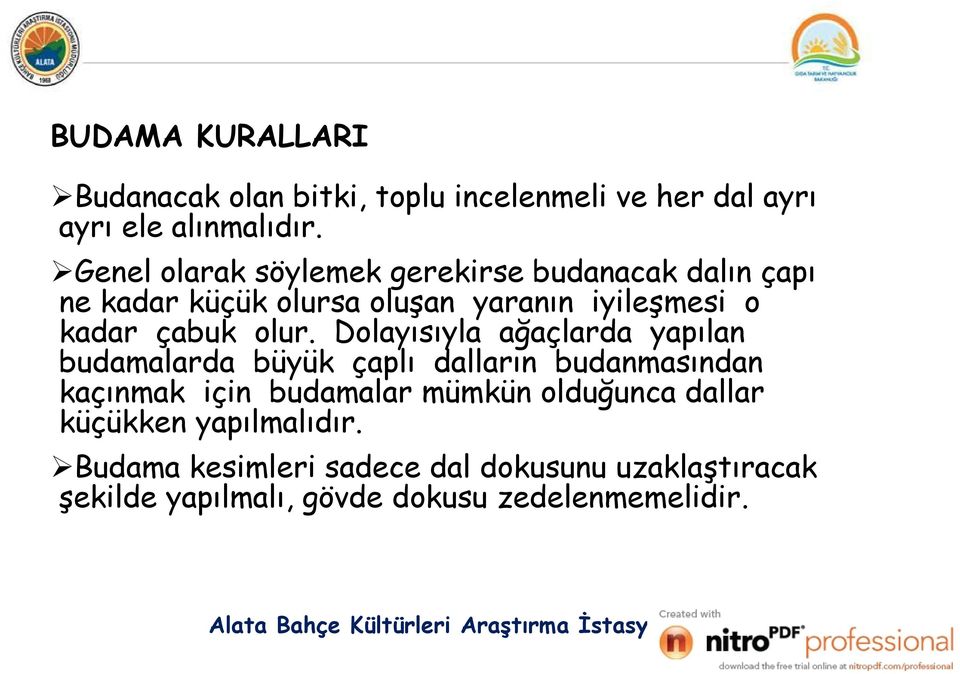 olur. Dolayısıyla ağaçlarda yapılan budamalarda büyük çaplı dalların budanmasından kaçınmak için budamalar mümkün