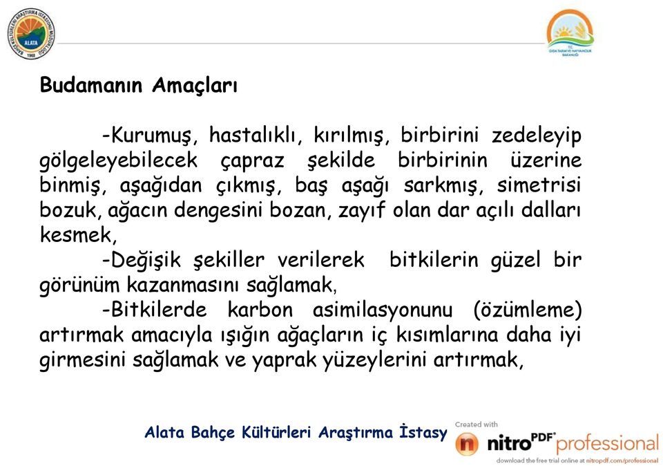 dalları kesmek, -Değişik şekiller verilerek bitkilerin güzel bir görünüm kazanmasını sağlamak, -Bitkilerde karbon