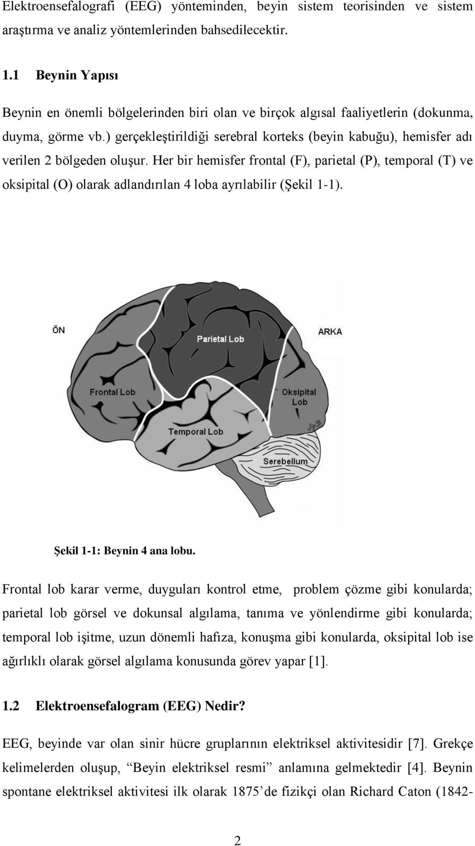 ) gerçekleştirildiği serebral korteks (beyin kabuğu), hemisfer adı verilen 2 bölgeden oluşur.