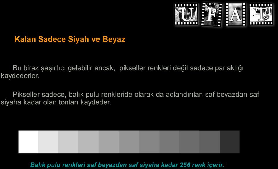 Pikseller sadece, balık pulu renkleride olarak da adlandırılan saf beyazdan