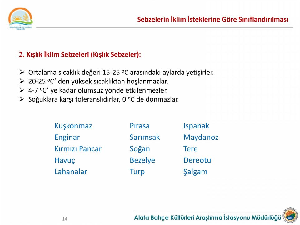 20-25 oc den yüksek sıcaklıktan hoşlanmazlar. 4-7 oc ye kadar olumsuz yönde etkilenmezler.